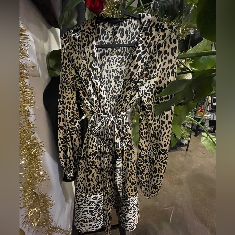 Cheetah dress plunge neck line